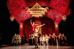 Don Kichot - 11 maja, 18:00 (Opera Śląska w Bytomiu), 21 maja, 18:00 (Teatr Śląski w Katowicach)