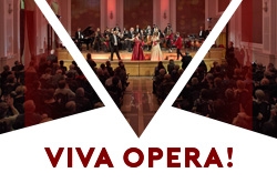 Koncert VIVA OPERA!